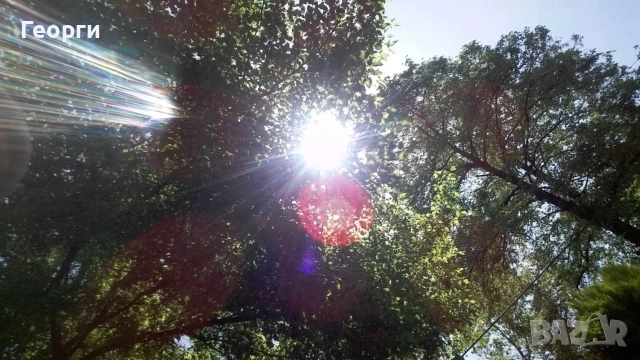 Рехабилитация Специализиран масаж Лечение 