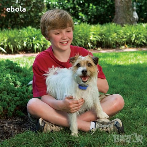 Яка против лаене , снимка 2 - За кучета - 32496124