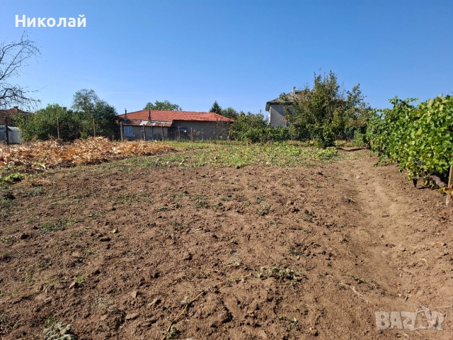 Имот в с. Калипетрово 1194 кв.м., снимка 3 - Парцели - 51746563