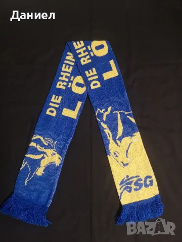 Фен шал на хандбалния Die rhein neckar Lowen 