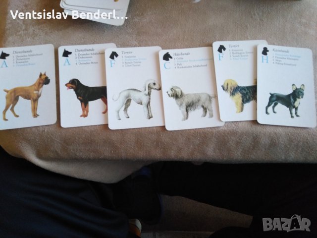 Колекционерски карти за игра, с кучета, снимка 8 - Карти за игра - 38499599