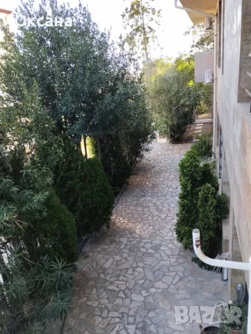 Апартамент Милора в Сандански, снимка 13 - Стаи под наем - 48674628