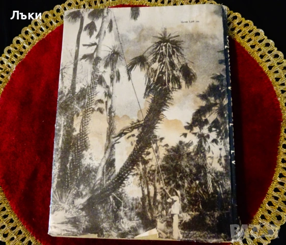 Африка и Америка. , снимка 5 - Художествена литература - 53204568