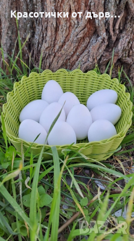 Великденски керамични яйца за оцветяване, украса и декорация 