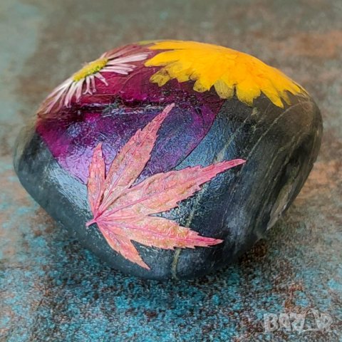 Преспапиета -- хербарии върху камъни, снимка 15 - Други - 43854706