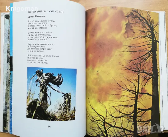 Отечество любезно, сборник, снимка 3 - Специализирана литература - 49093290