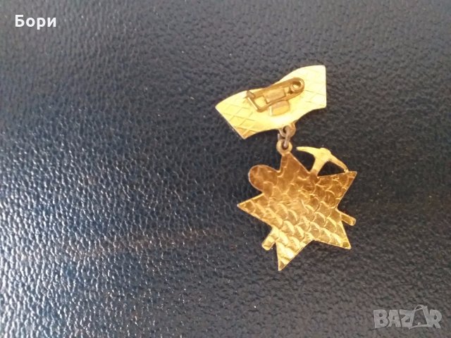 Значка Строим за родината , снимка 4 - Други ценни предмети - 28230274