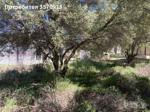 Парцел в Халкидики