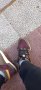 Moncler zapatillas , снимка 1 - Ежедневни обувки - 40512208