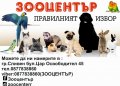 DR. BASSLEER BIOFISH FOOD PUMPKIN висококачествена пълноценна храна за рибки, снимка 2