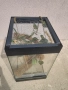 Терариум 60/40/35, снимка 3