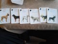 Колекционерски карти за игра, с кучета, снимка 8