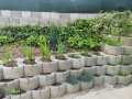 Бетонни саксии и кашпи за цветя, снимка 4