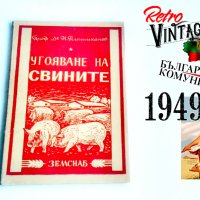 Угояване на свинете Н. Платиканов, снимка 1 - Специализирана литература - 38572627