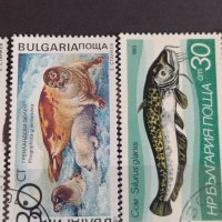 Пощенски марки  смесени серий поща България стари редки от соца за колекция декорация 29293, снимка 6 - Филателия - 37712292