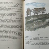 Черната воденица. Юри Брезан 1968 г., снимка 3 - Детски книжки - 27905830