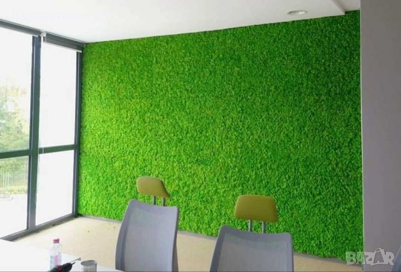 Интериорно озеленяване с естествен скандинавски мъх, снимка 1