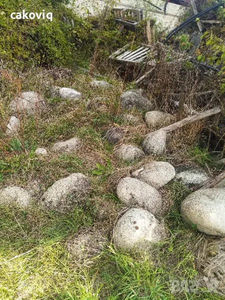 Подарявам камъни, снимка 1