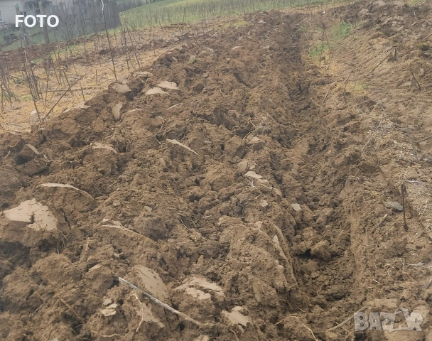 Plug 2x20 , снимка 5 - Селскостопанска техника - 53295316