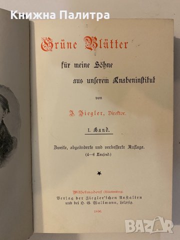 Braune Blätter für meine Söhne, снимка 2 - Други - 32176978