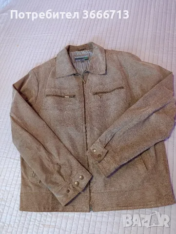 Мъжко яке-естествена телешка кожа, снимка 5 - Якета - 42917470