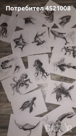 Скици-морски животни 22 броя, снимка 1