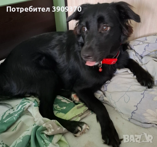 Подарява се