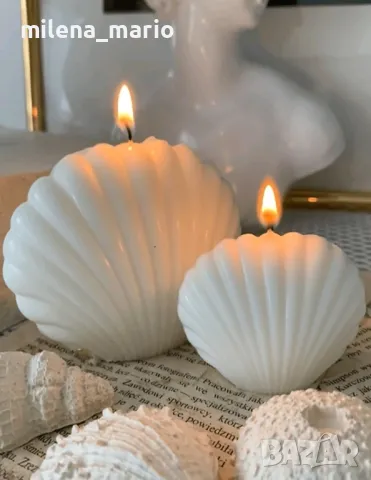 молд мида голяма 