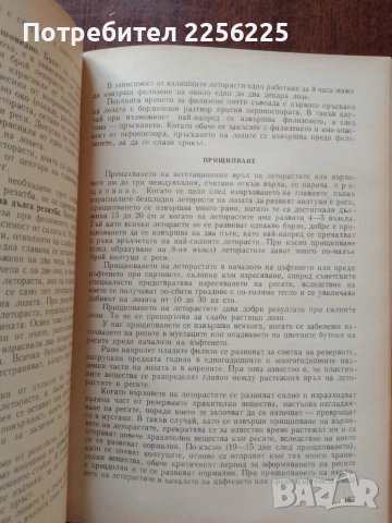 Лозарство, снимка 5 - Специализирана литература - 50611494