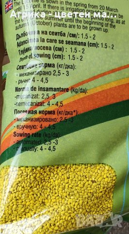 Семена Люцерна от лицензиран производител , снимка 2 - Сортови семена и луковици - 40112103