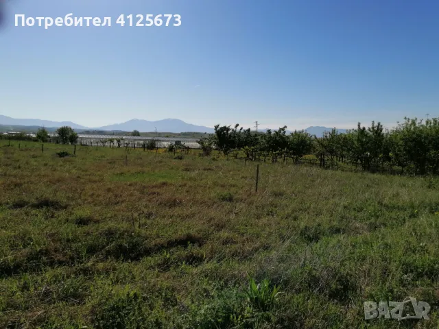 Продавам земеделска земя в землището на с.Ново Делчево, общ. Сандански, снимка 4 - Земеделска земя - 50090169