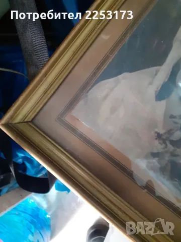 Стара семейна селска фотография за колекция, снимка 2 - Антикварни и старинни предмети - 49809697