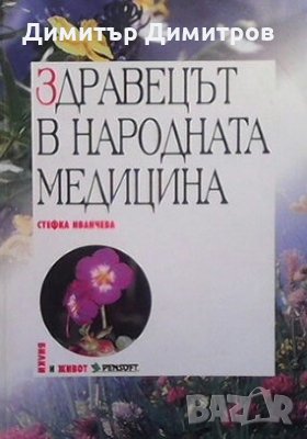 Здравецът в народната медицина Стефка Иванчева
