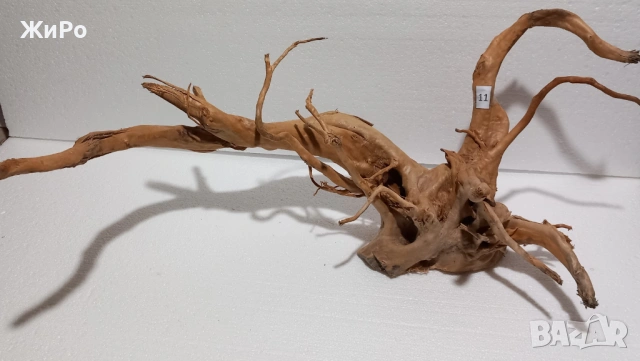 Корен от Азалия /декорация/ 11, снимка 2 - Други - 48578028