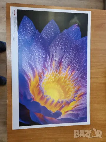 Xerox Versant 180 + FreeFlow 180 + OCT, снимка 6 - Принтери, копири, скенери - 35776830