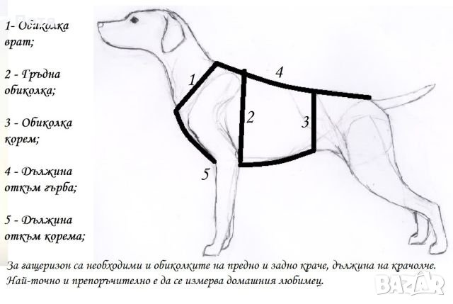Дрехи за големи кучета, снимка 17 - За кучета - 17140170