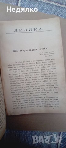 Конволют,13 книжки,1885,Илия Блъсков, снимка 18 - Антикварни и старинни предмети - 43255909