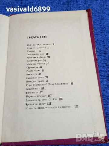 Иван Василев - Малкият учител , снимка 5 - Българска литература - 53576294