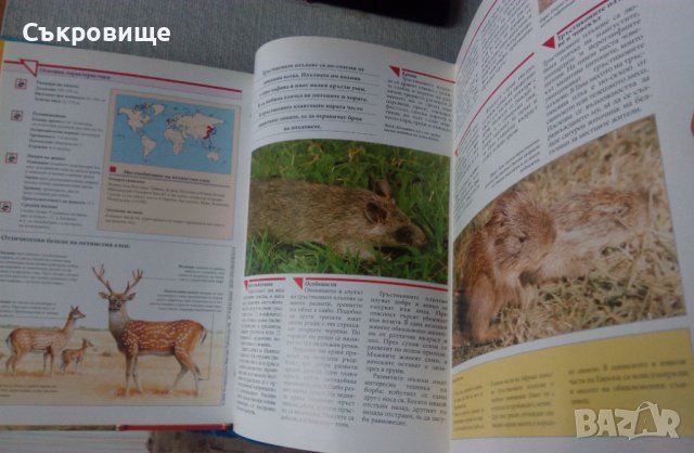 Енциклопедия Чудният свят на животните, снимка 10 - Енциклопедии, справочници - 39189485