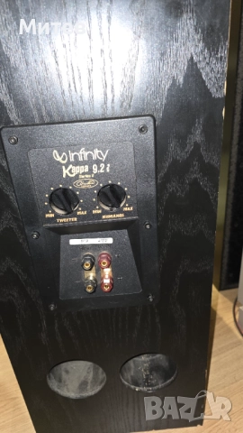 Тонколони INFINITY CAPPA 9.2 II, снимка 3 - Тонколони - 52682180