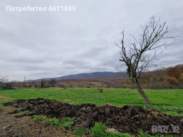 Продавам парцел в с.Велика, снимка 5 - Парцели - 52686937