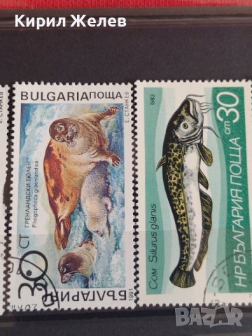 Пощенски марки  смесени серий поща България стари редки от соца за колекция декорация 29293, снимка 6 - Филателия - 37712292