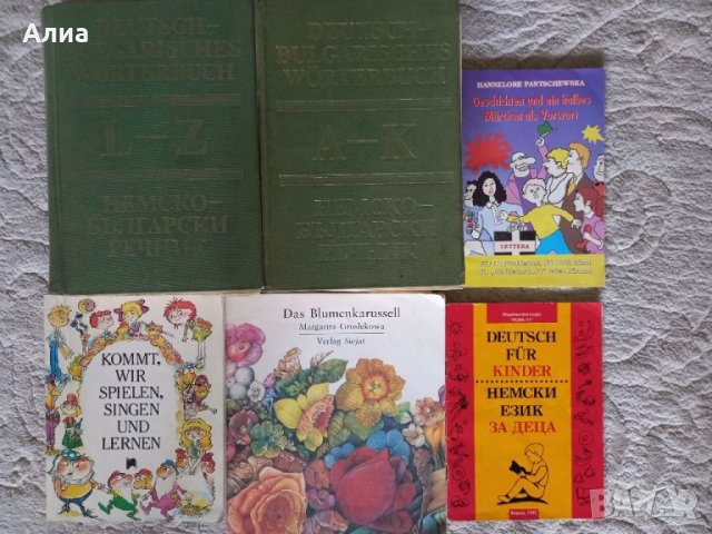 Немски речници, както и книжки до ниво С1, снимка 8 - Чуждоезиково обучение, речници - 34045961