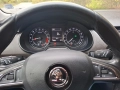 Skoda Octavia Scout DSG 4x4, , снимка 12