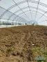 Оранжерии и открити площи под наем на 7 км. от гр. Варна в с. Куманово, от 70 кв.м. до 300 кв.м., снимка 7