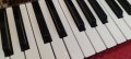 Продавам клавиши за синтезатор Technics, снимка 1 - Синтезатори - 43850660