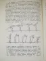 Ски-спорт учебник на ВИФ "Г.Димитров" - 1986 година, снимка 5