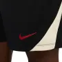 Мъжки шорти Nike Liverpool F.C. Strike Special Edition HJ1980-010, снимка 6