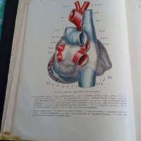 Стара медицинска книга учебник на френски език, снимка 8 - Специализирана литература - 28226327