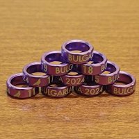 Алуминиеви пръстени 2024, снимка 10 - Гълъби - 35744648